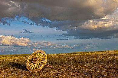 互动小说游戏《猫与众生》将于11月21日在Steam发售